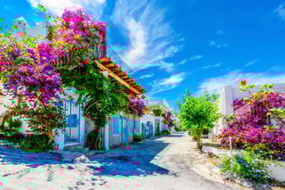 Bodrum: Where History Meets the Aegean Sea Bodrum: Where History Meets the Aegean Sea