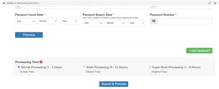 Turkish e-Visa Processing Time