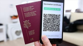 Recommended Vaccines to Enter Turkey